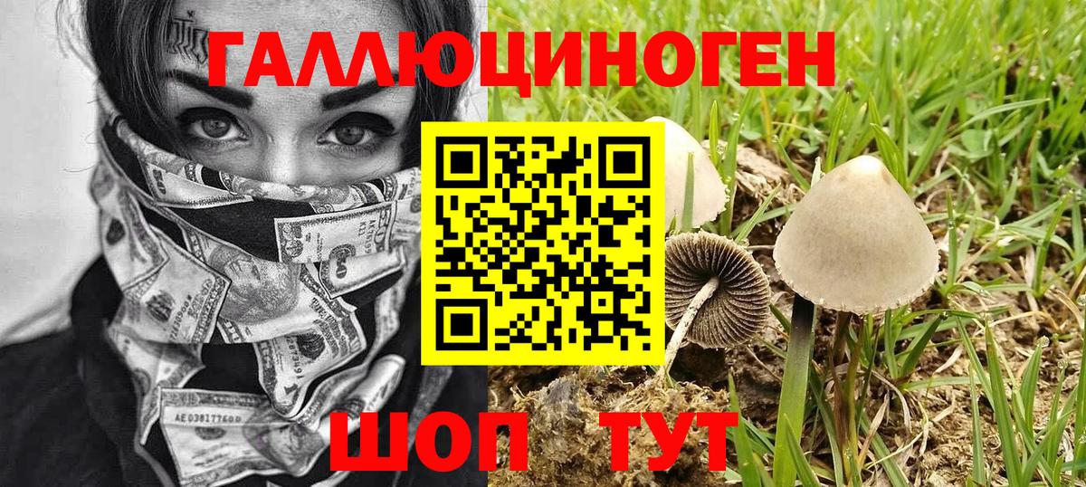 Псилоцибиновые грибы MAGIC MUSHROOMS Обнинск